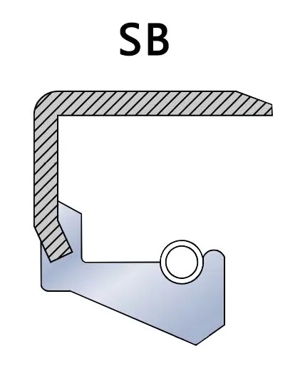 Joint d'huile squelette de type SB