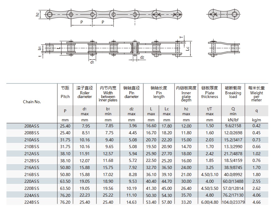 tableau technique des chaînes à rouleaux à double pas en acier inoxydable